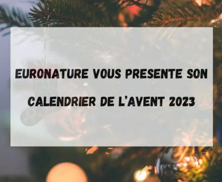 Le calendrier de l&rsquo;Avent Euronature 2023