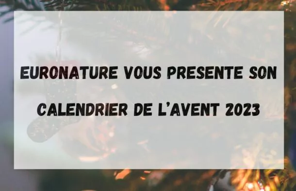 Le calendrier de l&rsquo;Avent Euronature 2023