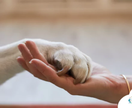 Prendre soin de son Animal au Naturel