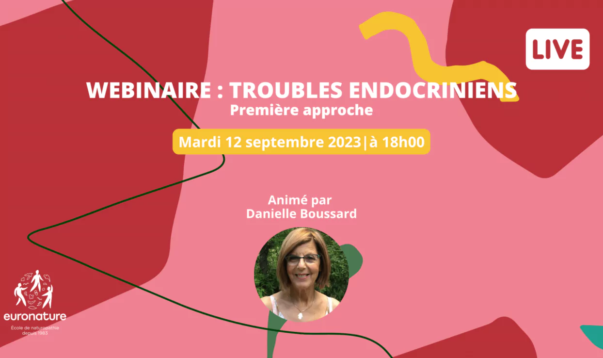 Webinaire gratuit : Première approche pour comprendre les troubles endocriniens
